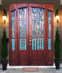 Парадная входная дверь "Немесида"