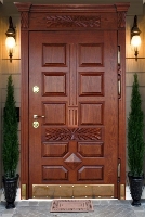 Элитная парадная дверь «Деймос»
