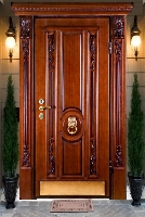 Элитная парадная дверь «Криос»
